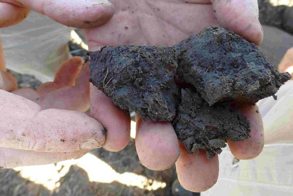 Jornada: Compostaje de alto volumen  para transformar residuos en recursos